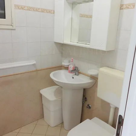 Solaris Da 8 A 12 Posti