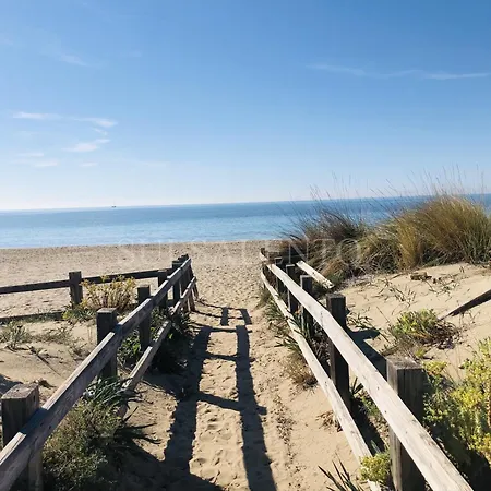 Solaris Da 8 A 12 Posti *